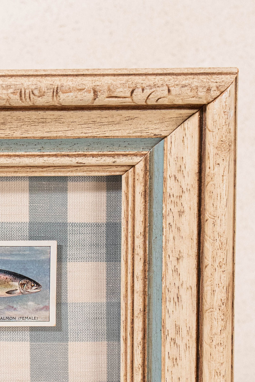 Vintage British Collector’s Cigarette ‘Salmon’ Fish Card | Custom Float Mount on Chelsea Textiles Check Fabric in Vintage Frame