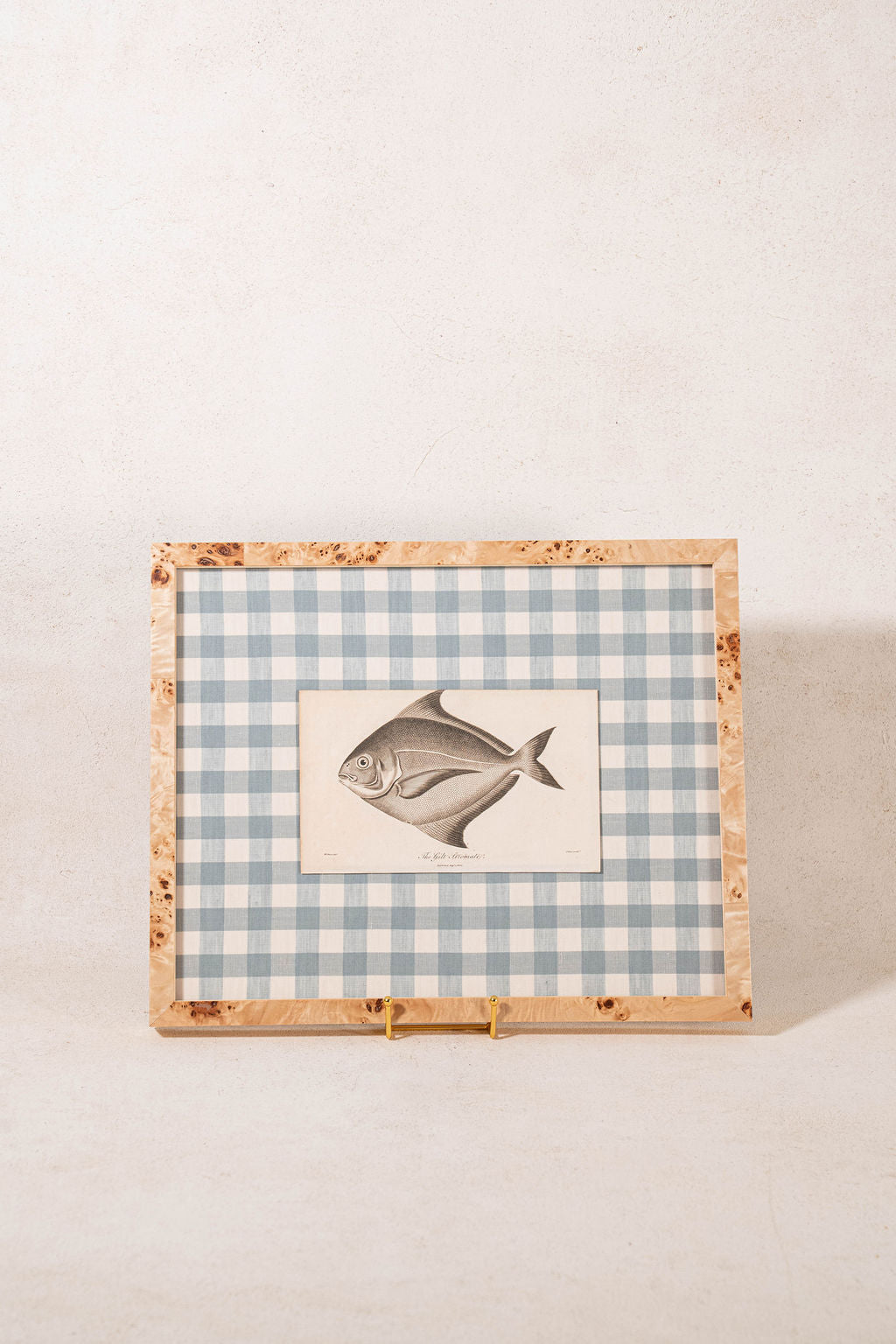 SET of 6 Antique English Fish Engravings (c. 1805) | Mounted on Chelsea Textiles Check 'Antique Blue' Fabric in Custom Contemporary Pale Burl Wood Frames
