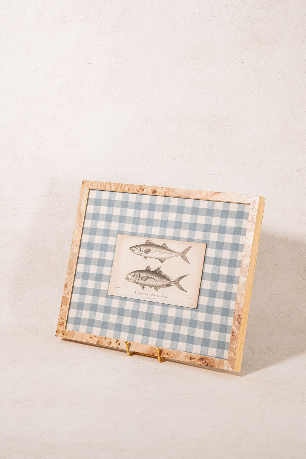 SET of 6 Antique English Fish Engravings (c. 1805) | Mounted on Chelsea Textiles Check 'Antique Blue' Fabric in Custom Contemporary Pale Burl Wood Frames