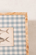 Load image into Gallery viewer, SET of 6 Antique English Fish Engravings (c. 1805) | Mounted on Chelsea Textiles Check 'Antique Blue' Fabric in Custom Contemporary Pale Burl Wood Frames

