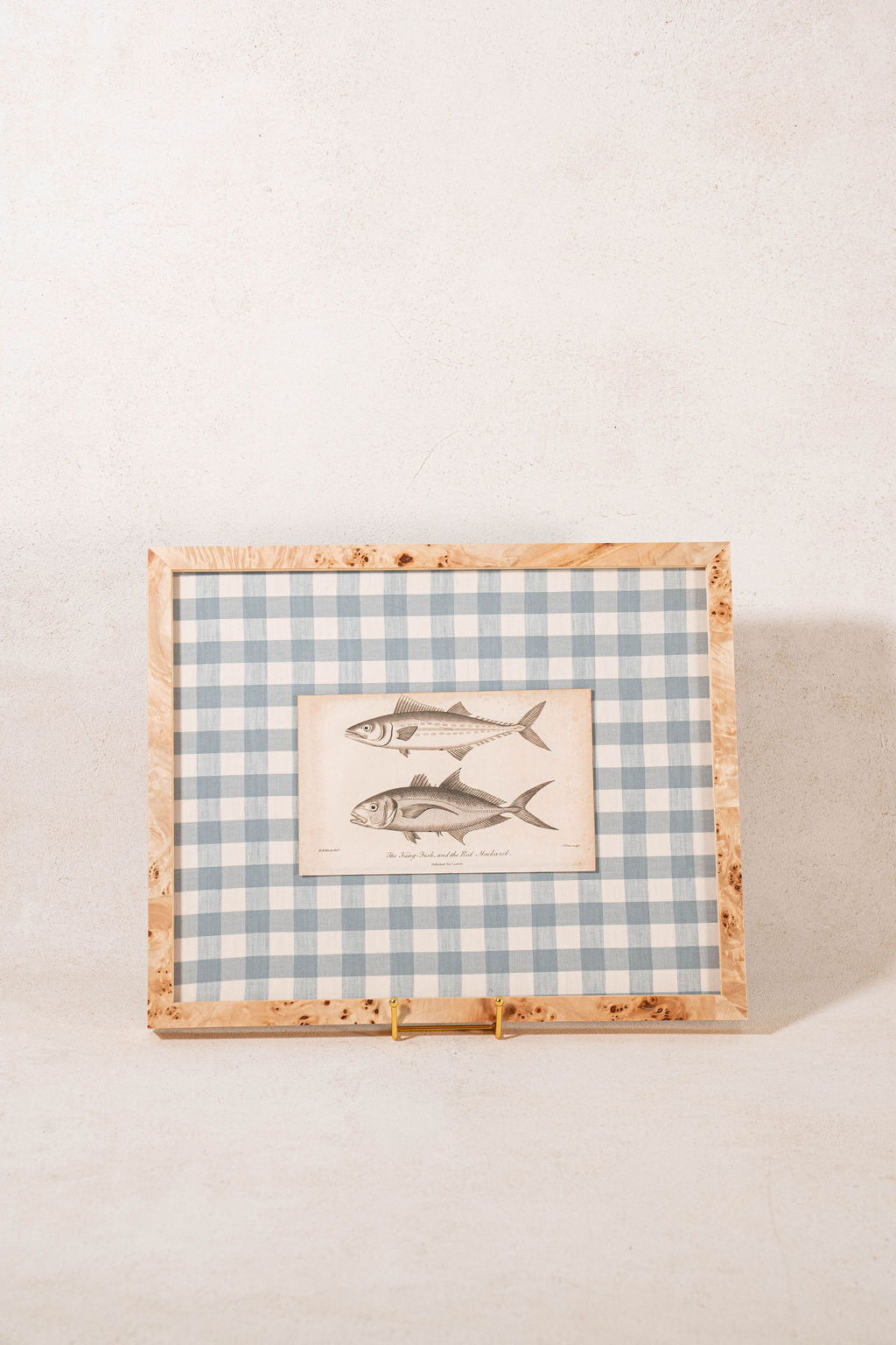 SET of 6 Antique English Fish Engravings (c. 1805) | Mounted on Chelsea Textiles Check 'Antique Blue' Fabric in Custom Contemporary Pale Burl Wood Frames
