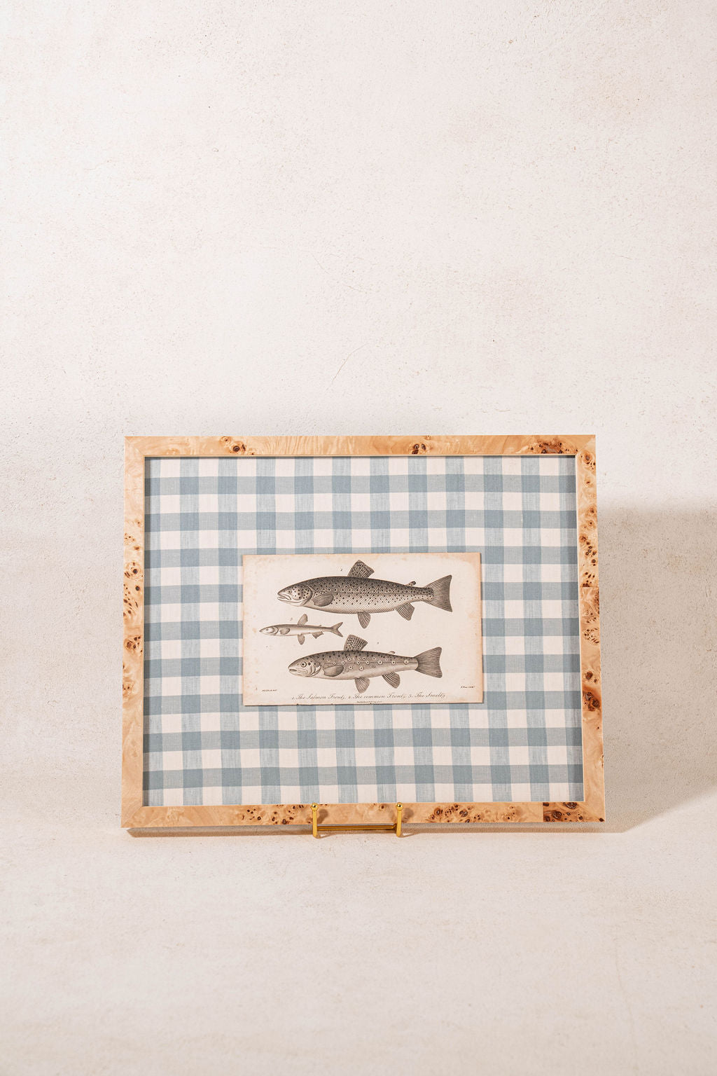 SET of 6 Antique English Fish Engravings (c. 1805) | Mounted on Chelsea Textiles Check 'Antique Blue' Fabric in Custom Contemporary Pale Burl Wood Frames