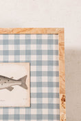 Load image into Gallery viewer, SET of 6 Antique English Fish Engravings (c. 1805) | Mounted on Chelsea Textiles Check 'Antique Blue' Fabric in Custom Contemporary Pale Burl Wood Frames
