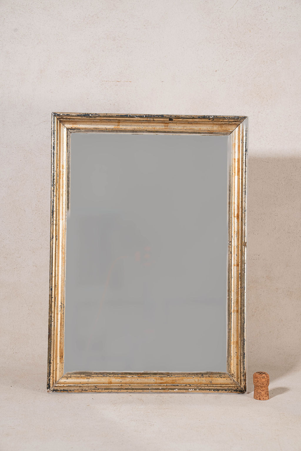 Antique Giltwood French Mirror with Foxing