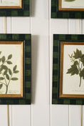 Load image into Gallery viewer, SET of 4 | Vintage English Trowbridge Leaf Prints in Hand Painted Green Check Frame
