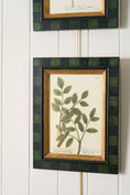 Load image into Gallery viewer, SET of 4 | Vintage English Trowbridge Leaf Prints in Hand Painted Green Check Frame
