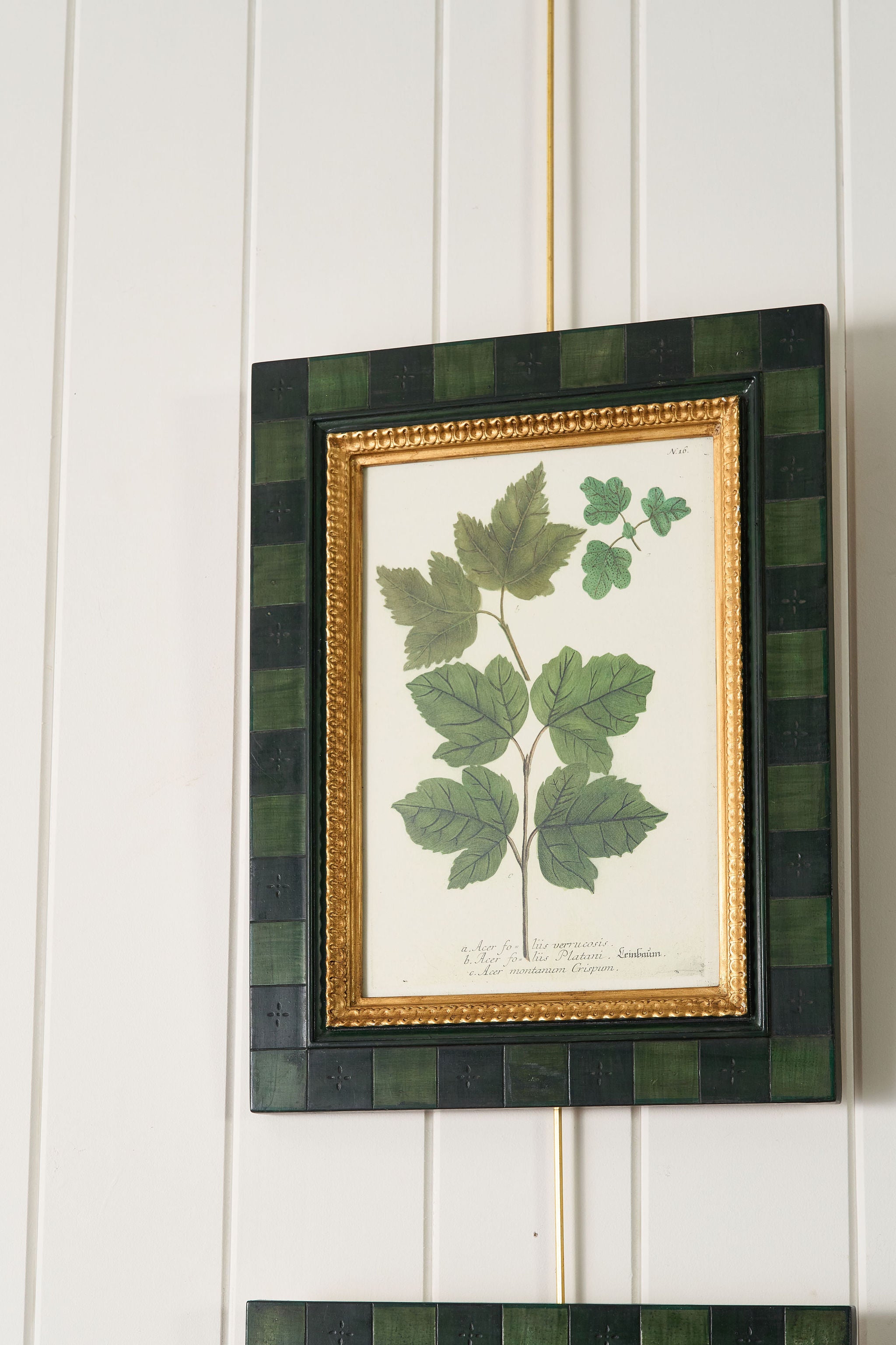 SET of 4 | Vintage English Trowbridge Leaf Prints in Hand Painted Green Check Frame