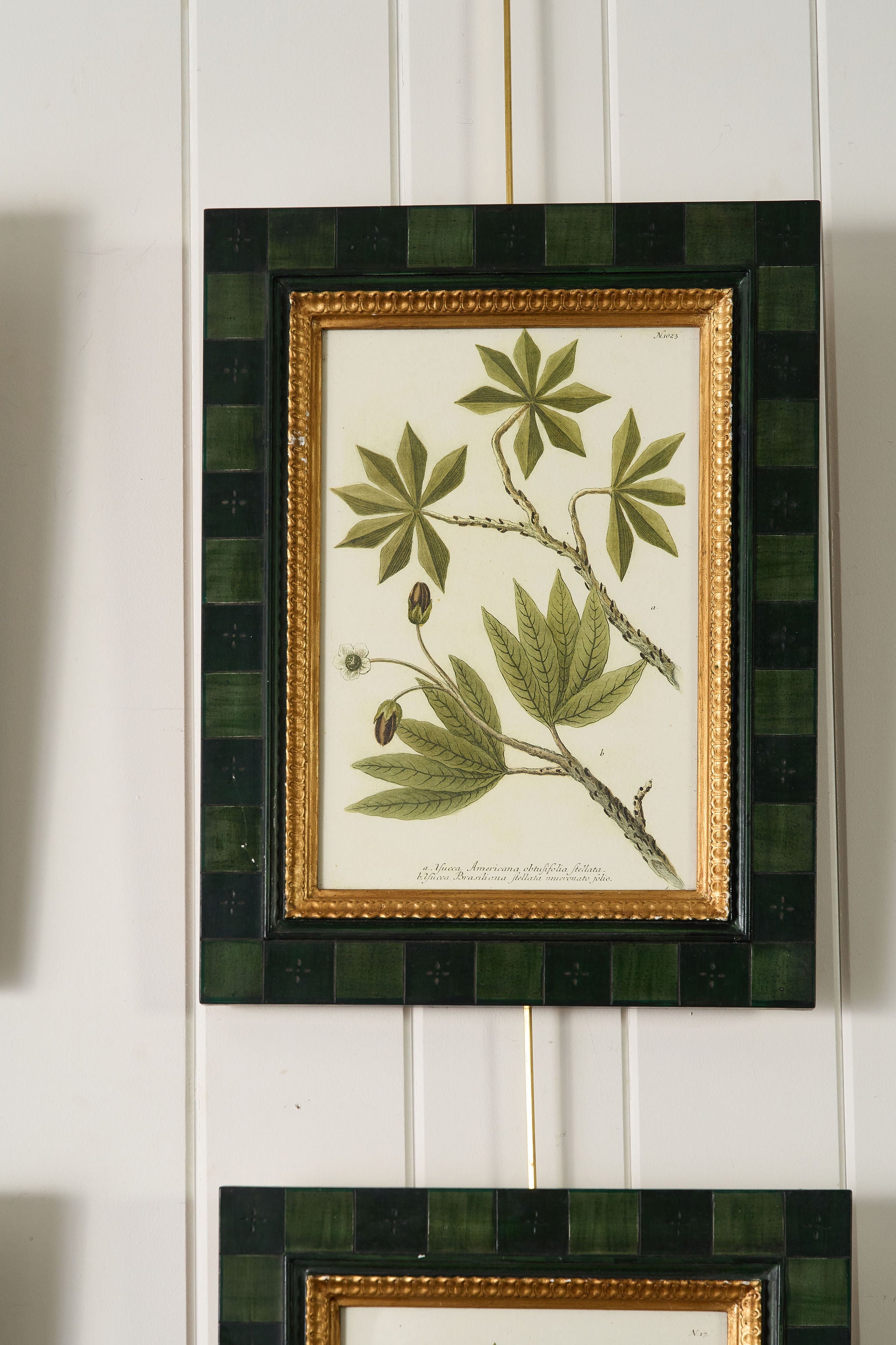 SET of 4 | Vintage English Trowbridge Leaf Prints in Hand Painted Green Check Frame
