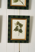 Load image into Gallery viewer, SET of 4 | Vintage English Trowbridge Leaf Prints in Hand Painted Green Check Frame
