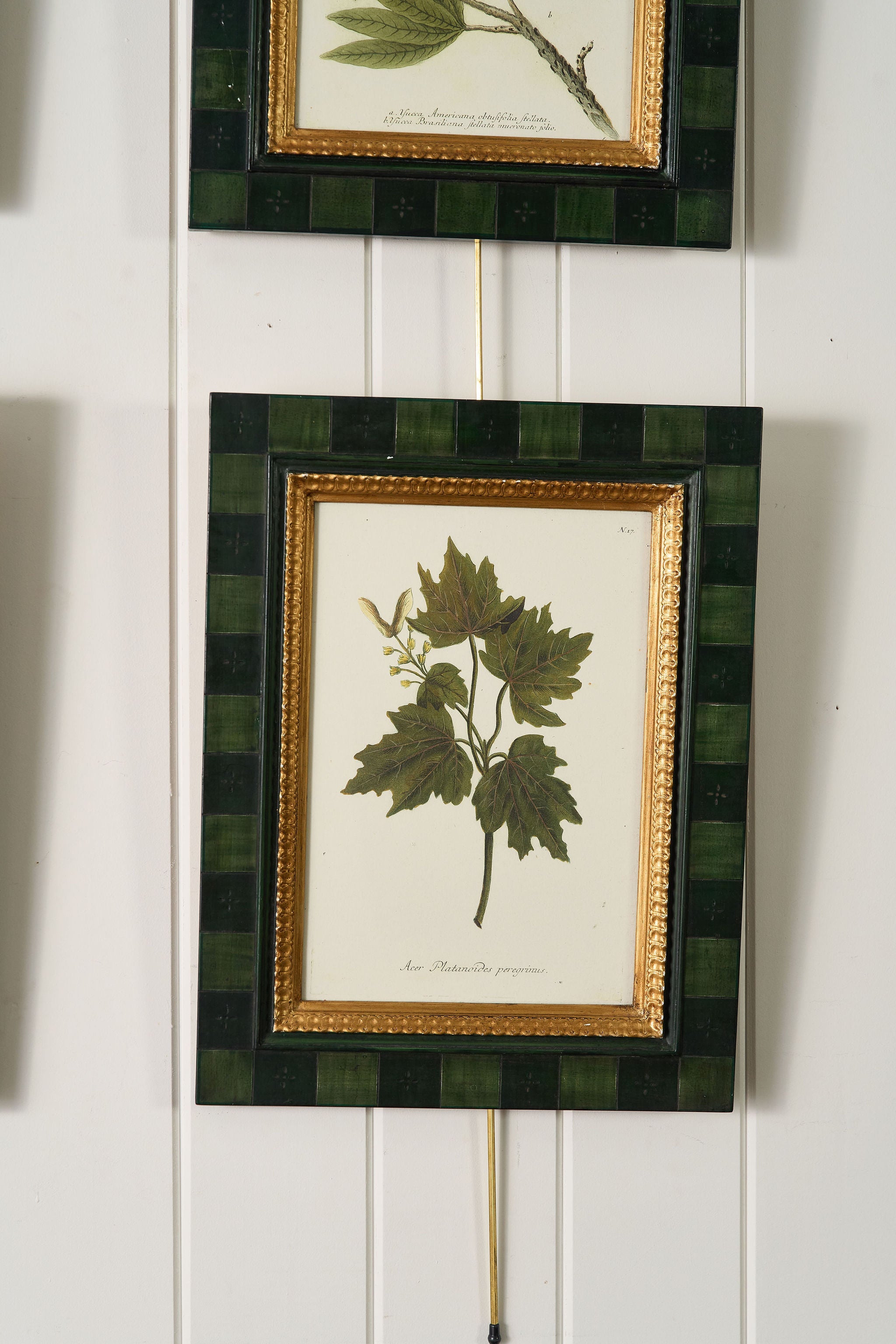 SET of 4 | Vintage English Trowbridge Leaf Prints in Hand Painted Green Check Frame