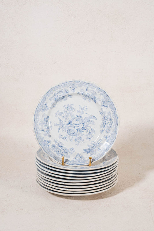 SINGLE | Antique English Asiatic Pheasant 9.25” Plate (c. 1862-1872)