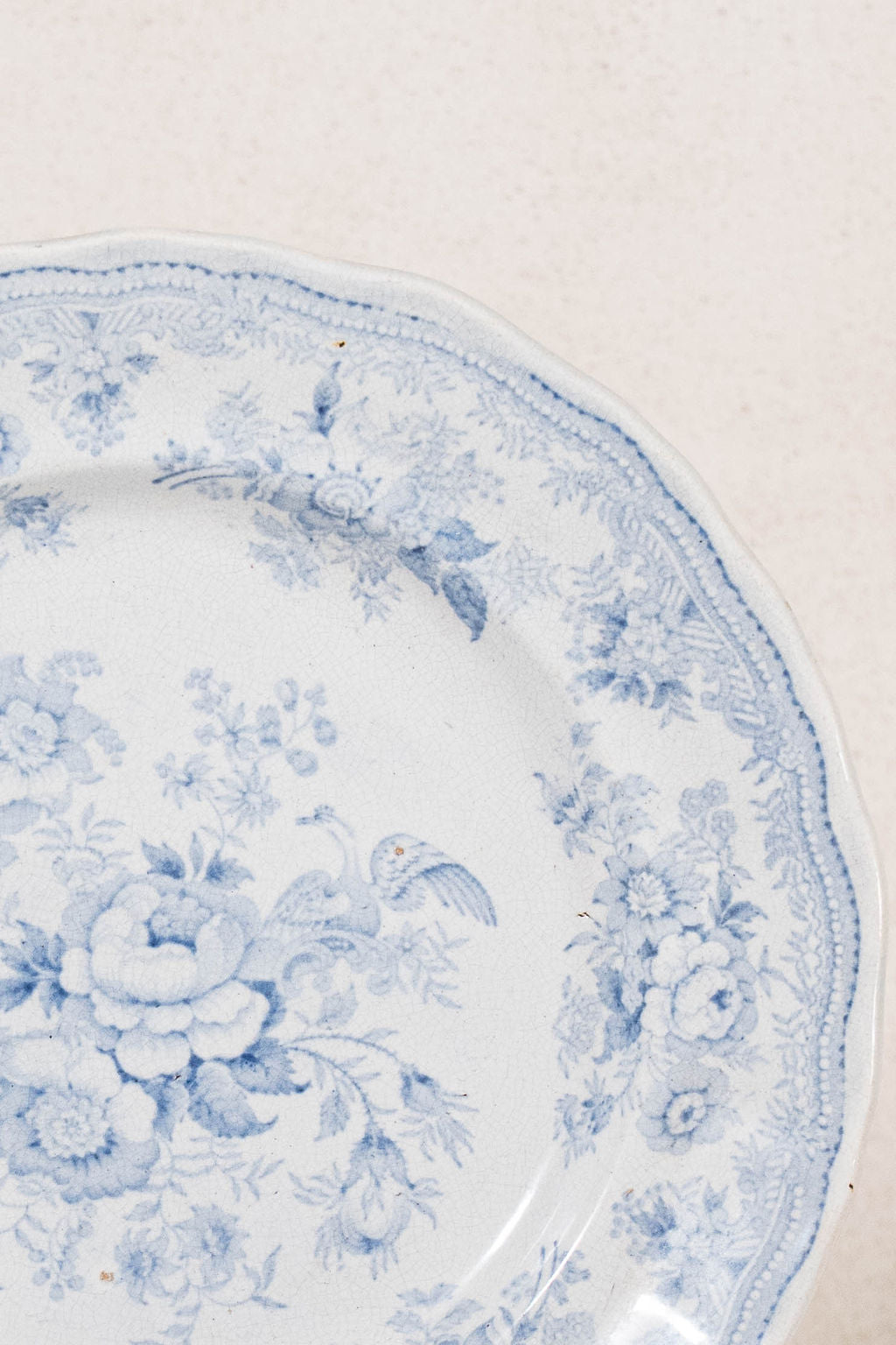 SINGLE | Antique English Asiatic Pheasant 9.25” Plate (c. 1862-1872)