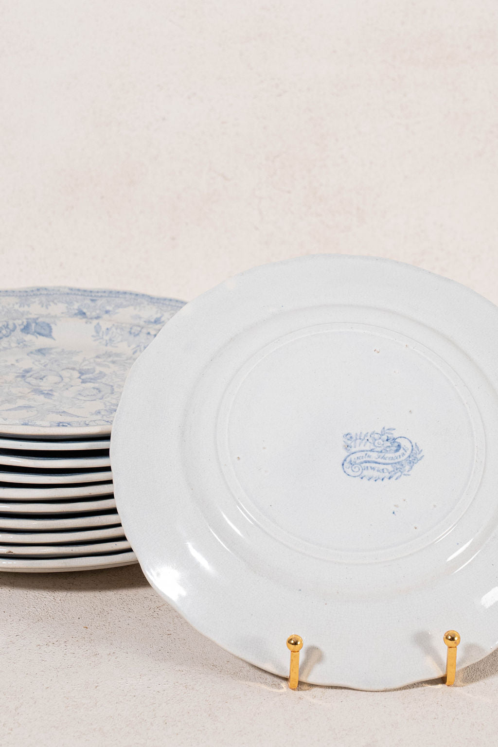 SINGLE | Antique English Asiatic Pheasant 9.25” Plate (c. 1862-1872)