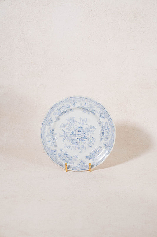 SINGLE | Antique English Asiatic Pheasant 9.25” Plate (c. 1862-1872)
