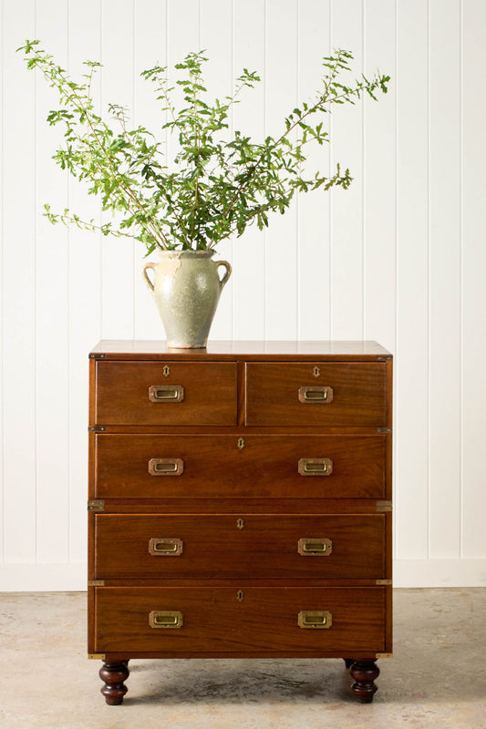 Early 19th Century English Mahogany Campaign Chest (c. 1830)