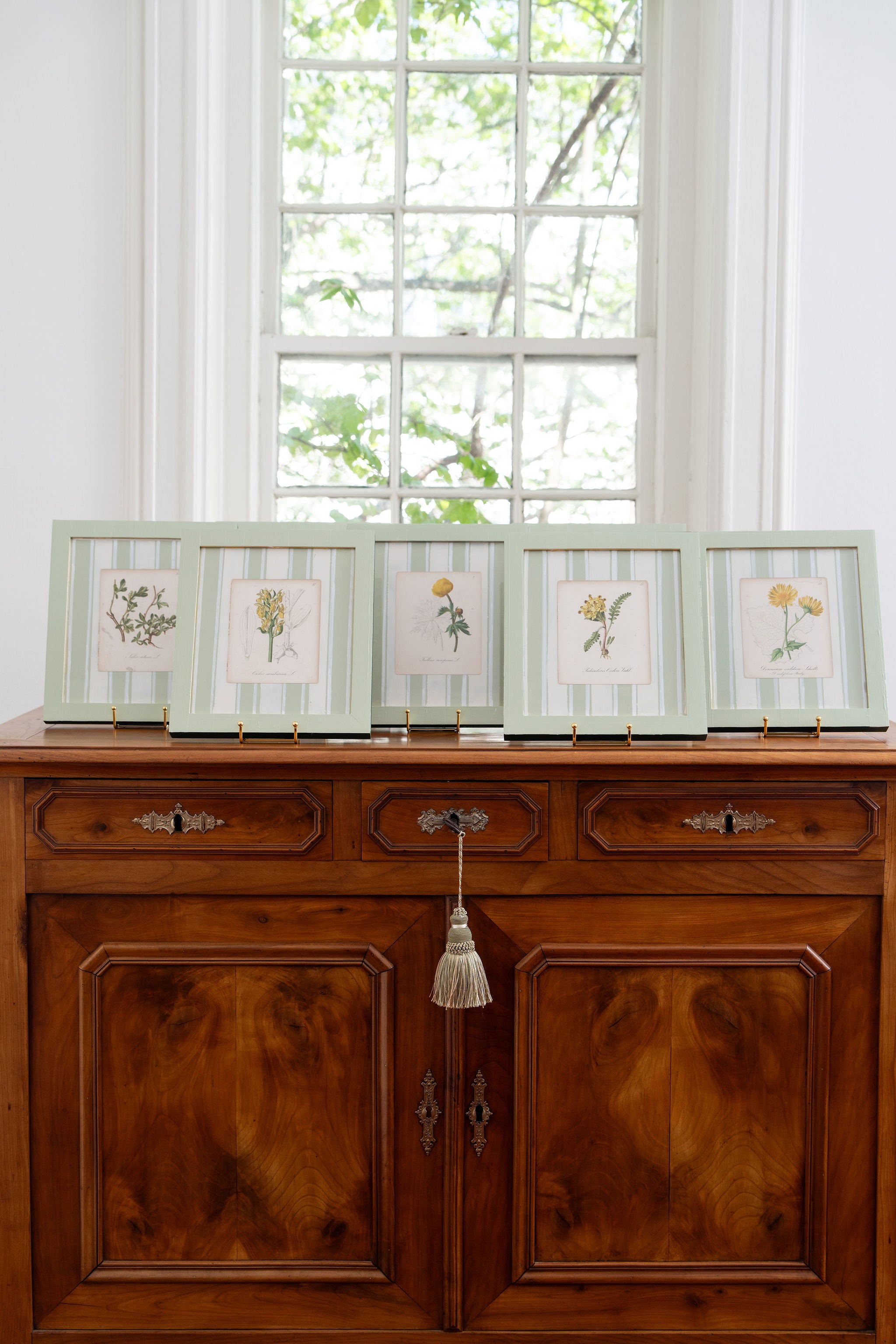 Bespoke Botanical | Antique Botanical Book Plate (c. 1890) in Hand Painted Frame