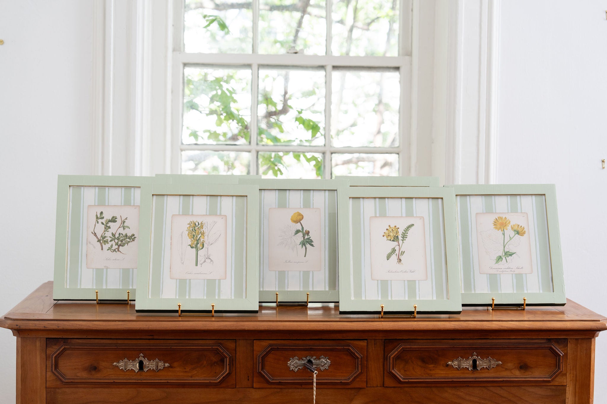 Bespoke Botanical | Antique Botanical Book Plate (c. 1890) in Hand Painted Frame