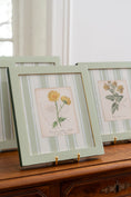 Load image into Gallery viewer, Bespoke Botanical | Antique Botanical Book Plate (c. 1890) in Hand Painted Frame
