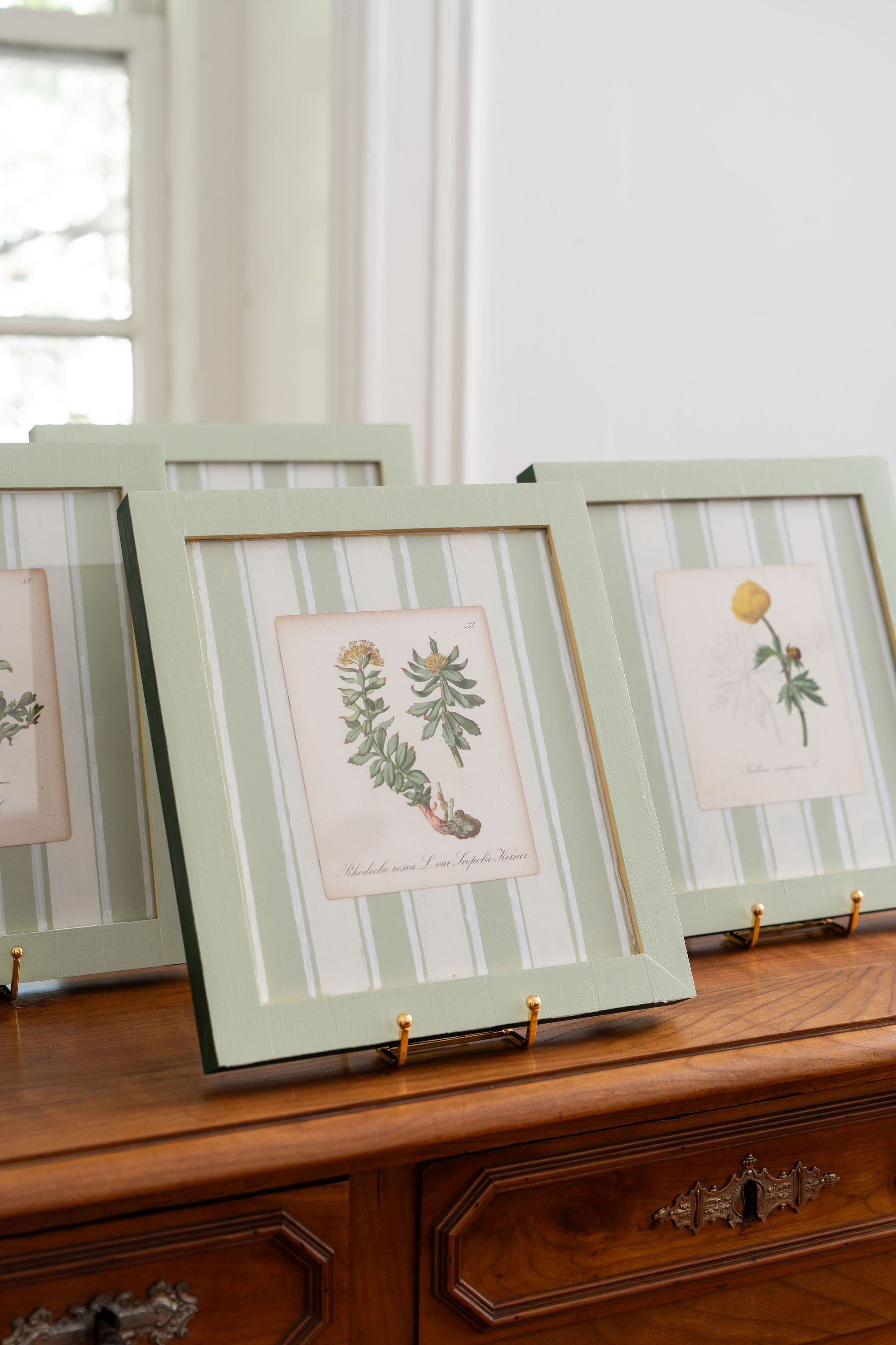 Bespoke Botanical | Antique Botanical Book Plate (c. 1890) in Hand Painted Frame