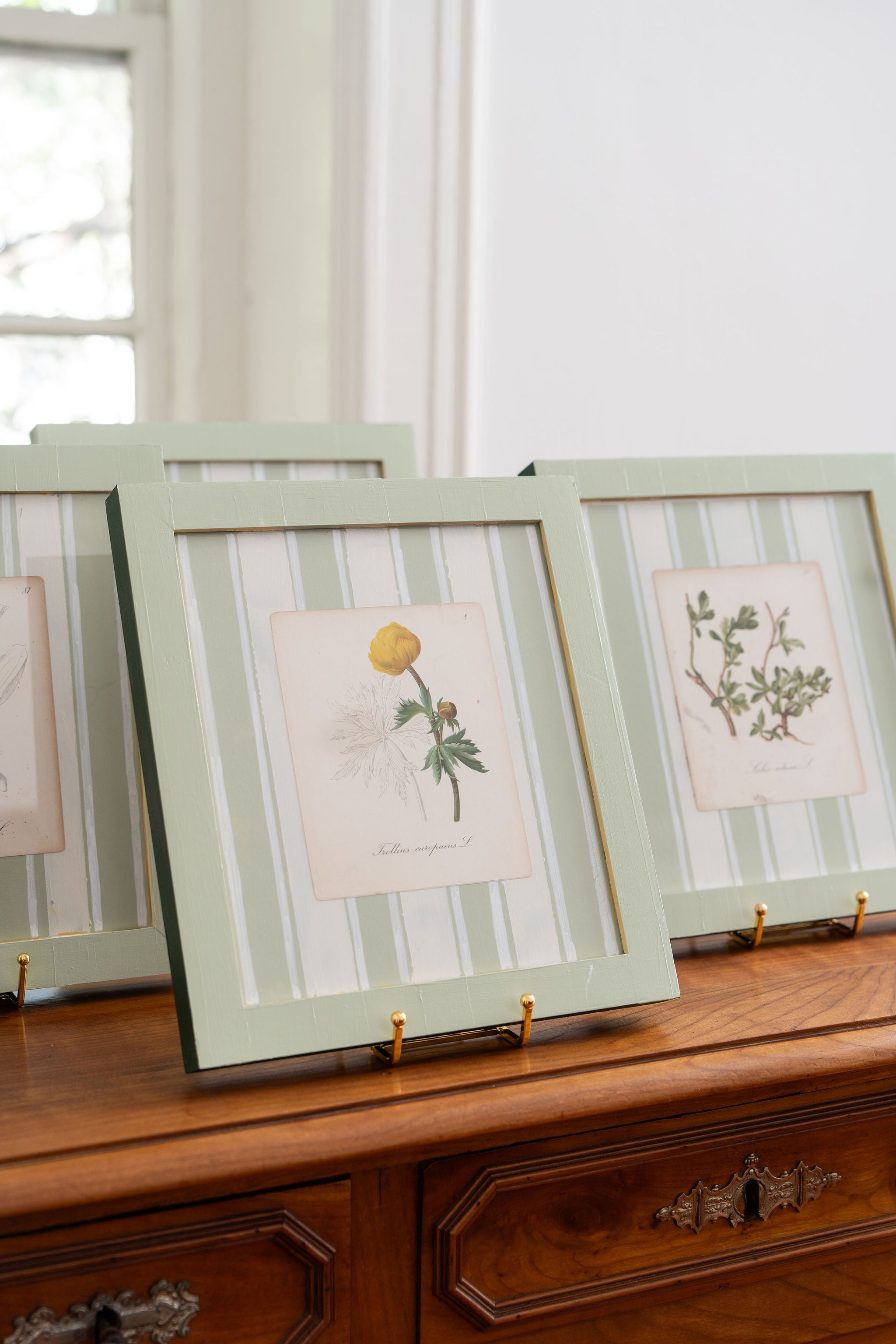 Bespoke Botanical | Antique Botanical Book Plate (c. 1890) in Hand Painted Frame