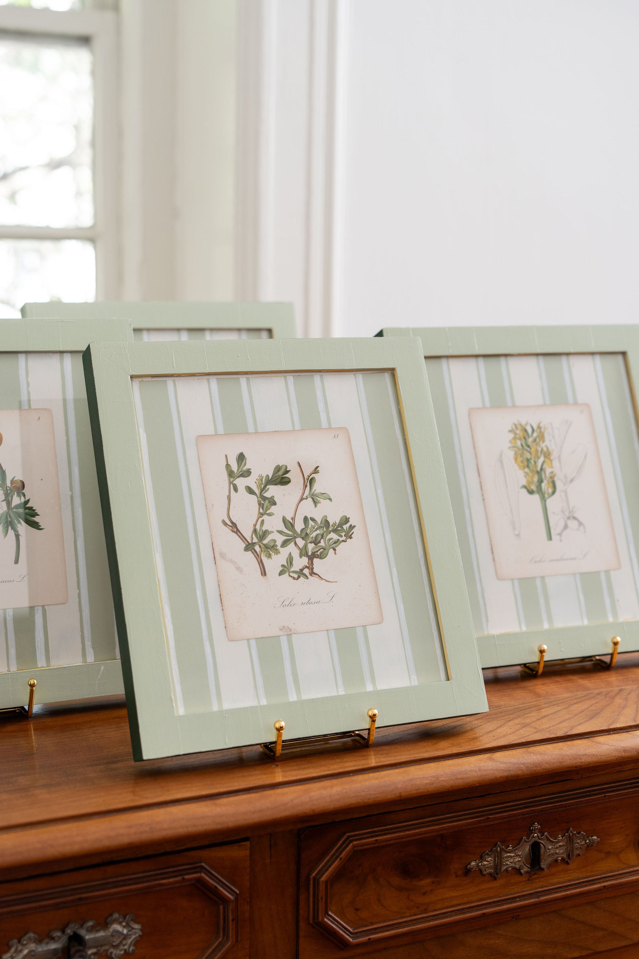 Bespoke Botanical | Antique Botanical Book Plate (c. 1890) in Hand Painted Frame