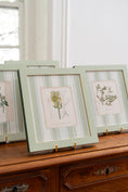 Load image into Gallery viewer, Bespoke Botanical | Antique Botanical Book Plate (c. 1890) in Hand Painted Frame
