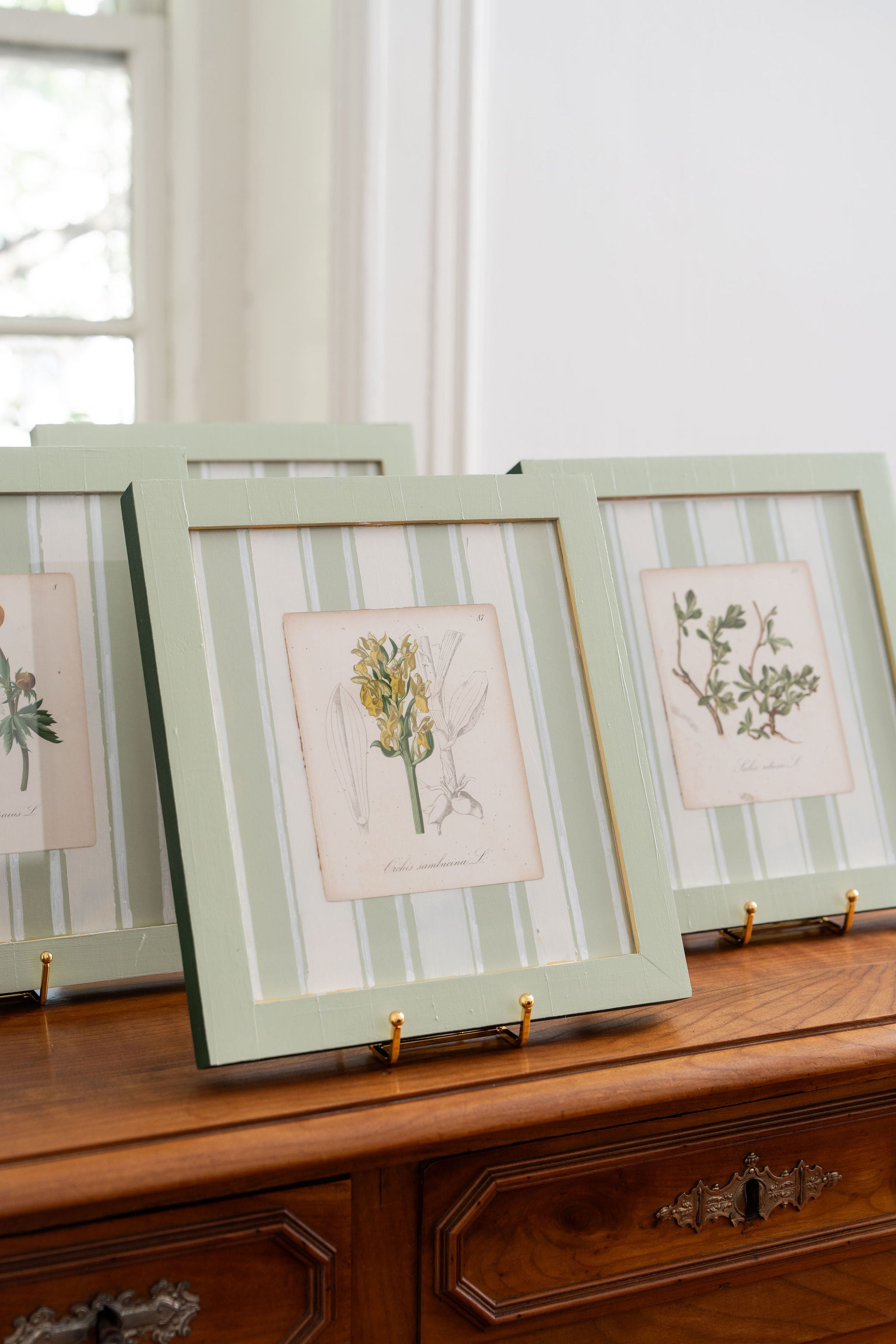 Bespoke Botanical | Antique Botanical Book Plate (c. 1890) in Hand Painted Frame