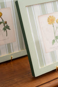 Load image into Gallery viewer, Bespoke Botanical | Antique Botanical Book Plate (c. 1890) in Hand Painted Frame
