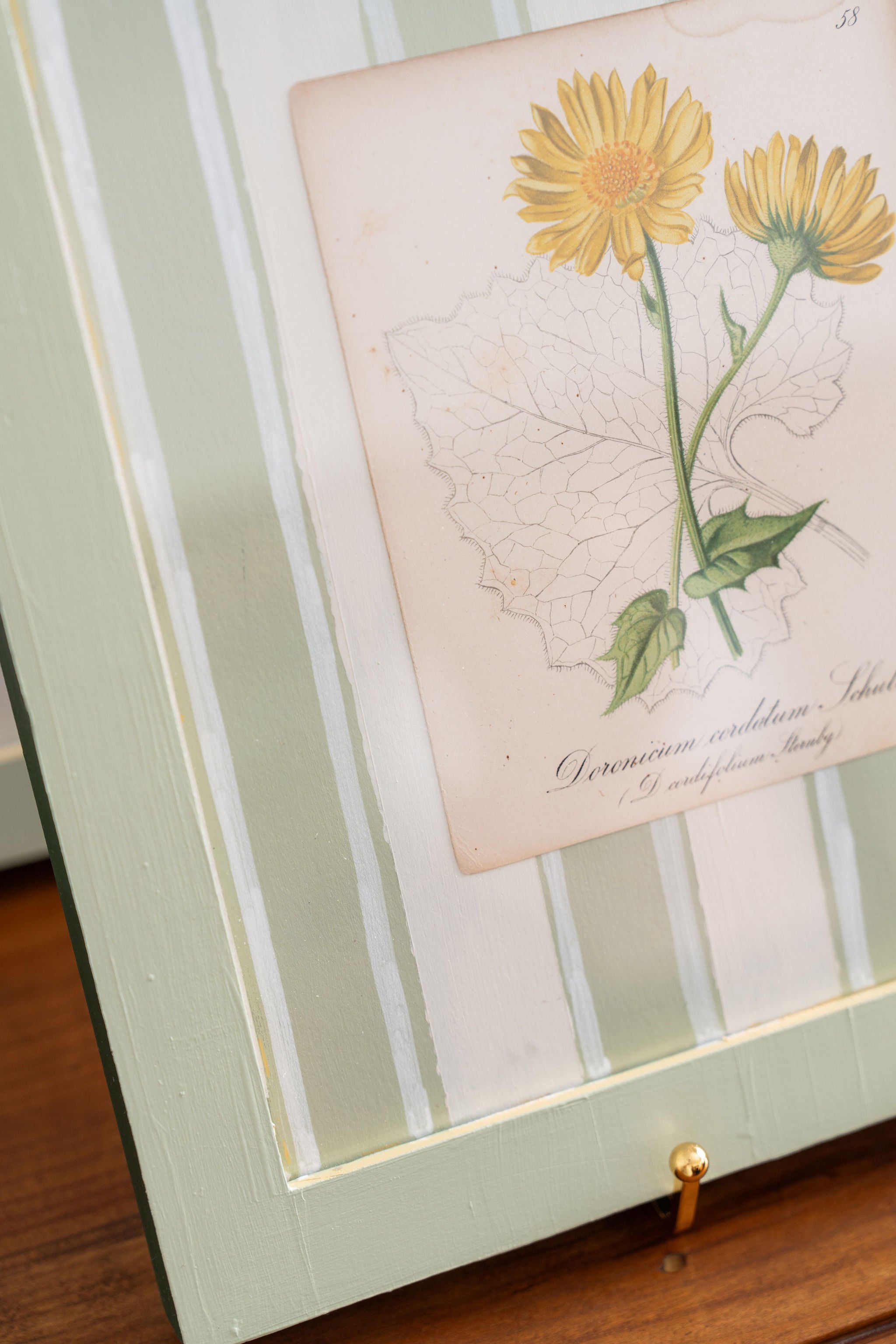 Bespoke Botanical | Antique Botanical Book Plate (c. 1890) in Hand Painted Frame