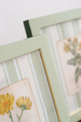 Load image into Gallery viewer, Bespoke Botanical | Antique Botanical Book Plate (c. 1890) in Hand Painted Frame
