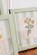 Load image into Gallery viewer, Bespoke Botanical | Antique Botanical Book Plate (c. 1890) in Hand Painted Frame

