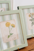 Load image into Gallery viewer, Bespoke Botanical | Antique Botanical Book Plate (c. 1890) in Hand Painted Frame
