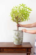Load image into Gallery viewer, Large Green + White Chinoiserie Planter / Vase
