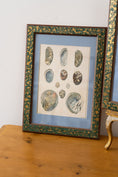 Load image into Gallery viewer, Vintage Sea Shell Print
