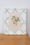Load image into Gallery viewer, Bespoke Botanical | Antique Botanical Book Plate of White Roses in Hand Painted Frame

