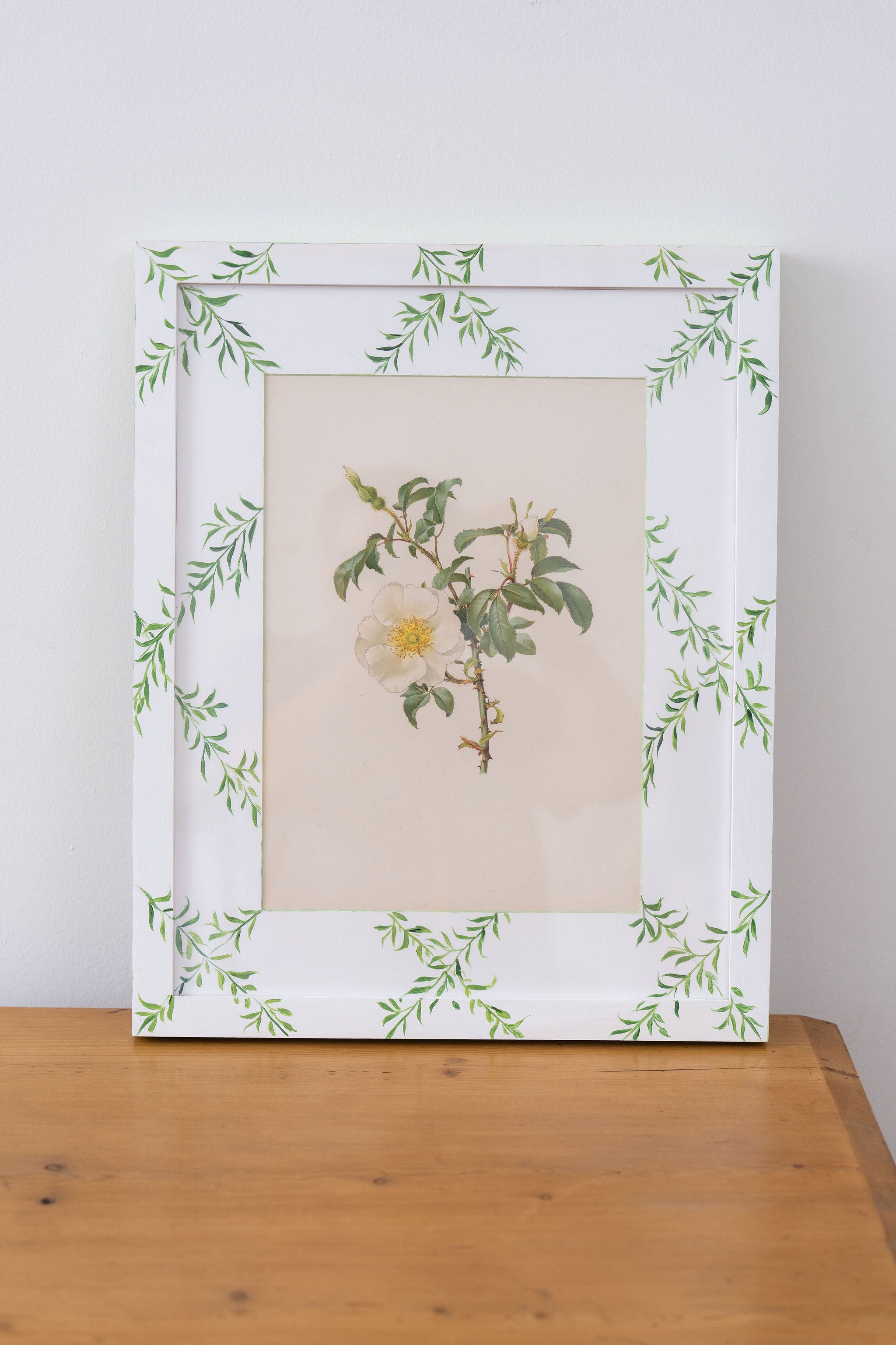 Bespoke Botanical | Antique Botanical Book Plate of White Roses in Hand Painted Frame