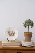 Load image into Gallery viewer, RARE First Edition Vtg. Charleston Collection Wedgwood Dinner Plates
