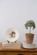 Load image into Gallery viewer, RARE First Edition Vtg. Charleston Collection Wedgwood Dinner Plates
