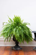 Load image into Gallery viewer, Vintage Patina Cast-Aluminum Planters (PAIR)

