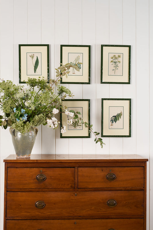 Antique Botanical Hand Colored Bookplates in Contemporary Green Lacquer Frames