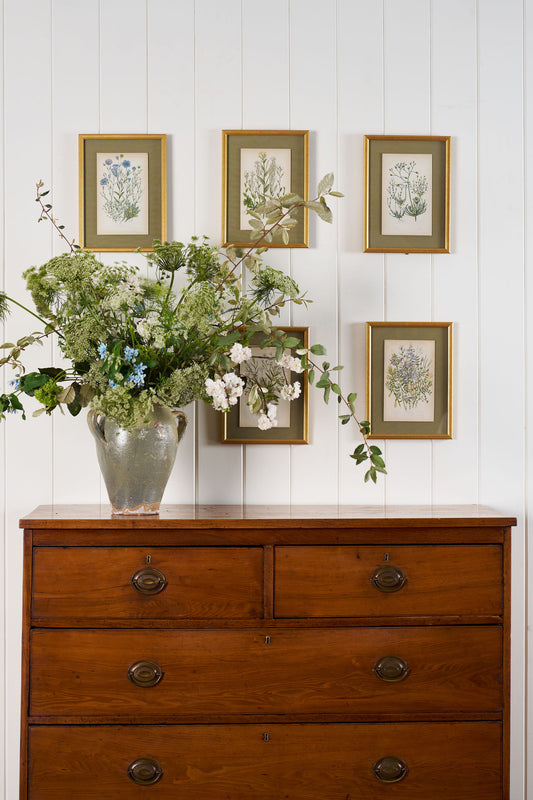 Antique Botanical Engraving (c. 1870) | Floating on Sage Linen in Contemporary Gold Frame