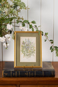 Load image into Gallery viewer, Antique Botanical Engraving (c. 1870) | Floating on Sage Linen in Contemporary Gold Frame
