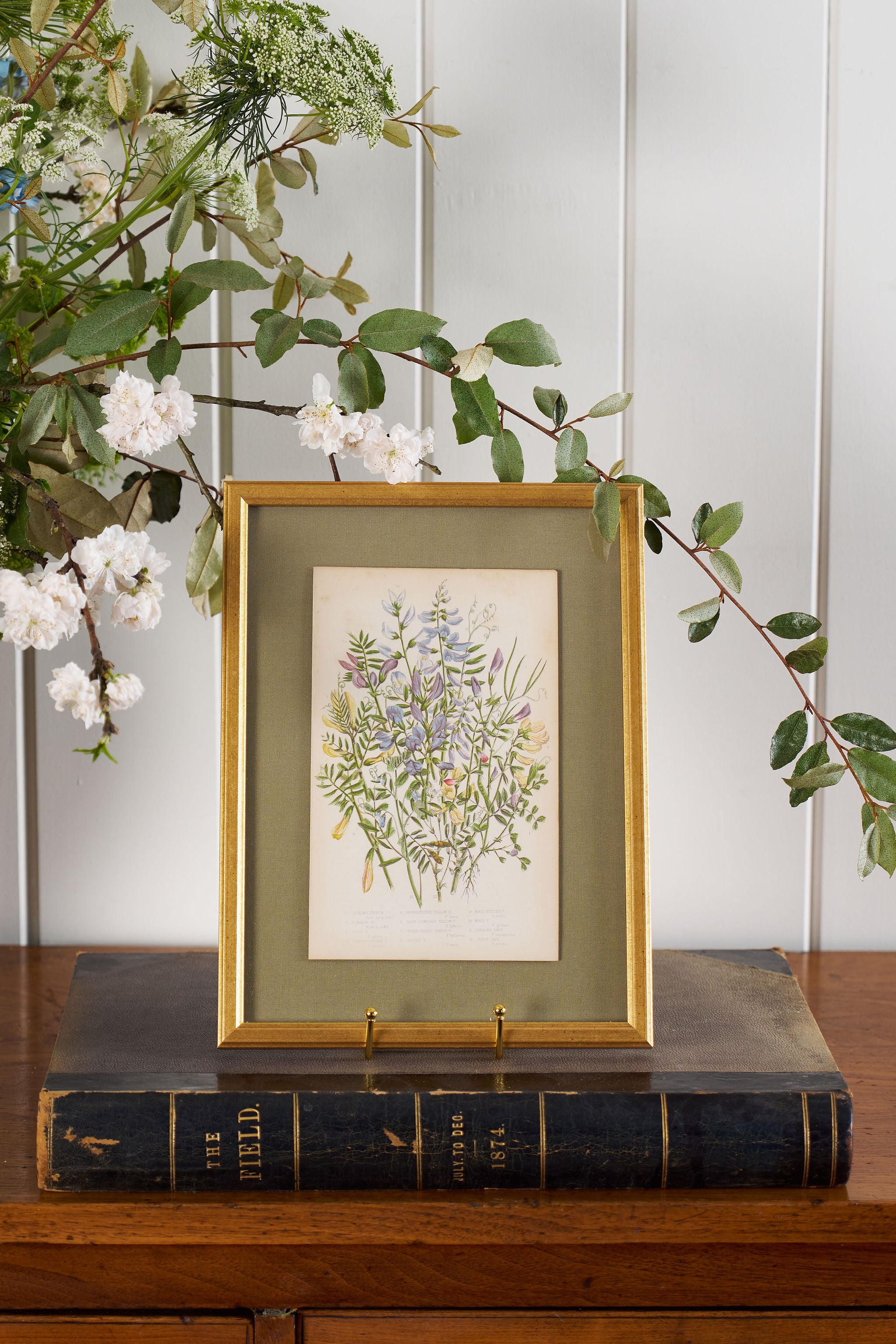 Antique Botanical Engraving (c. 1870) | Floating on Sage Linen in Contemporary Gold Frame