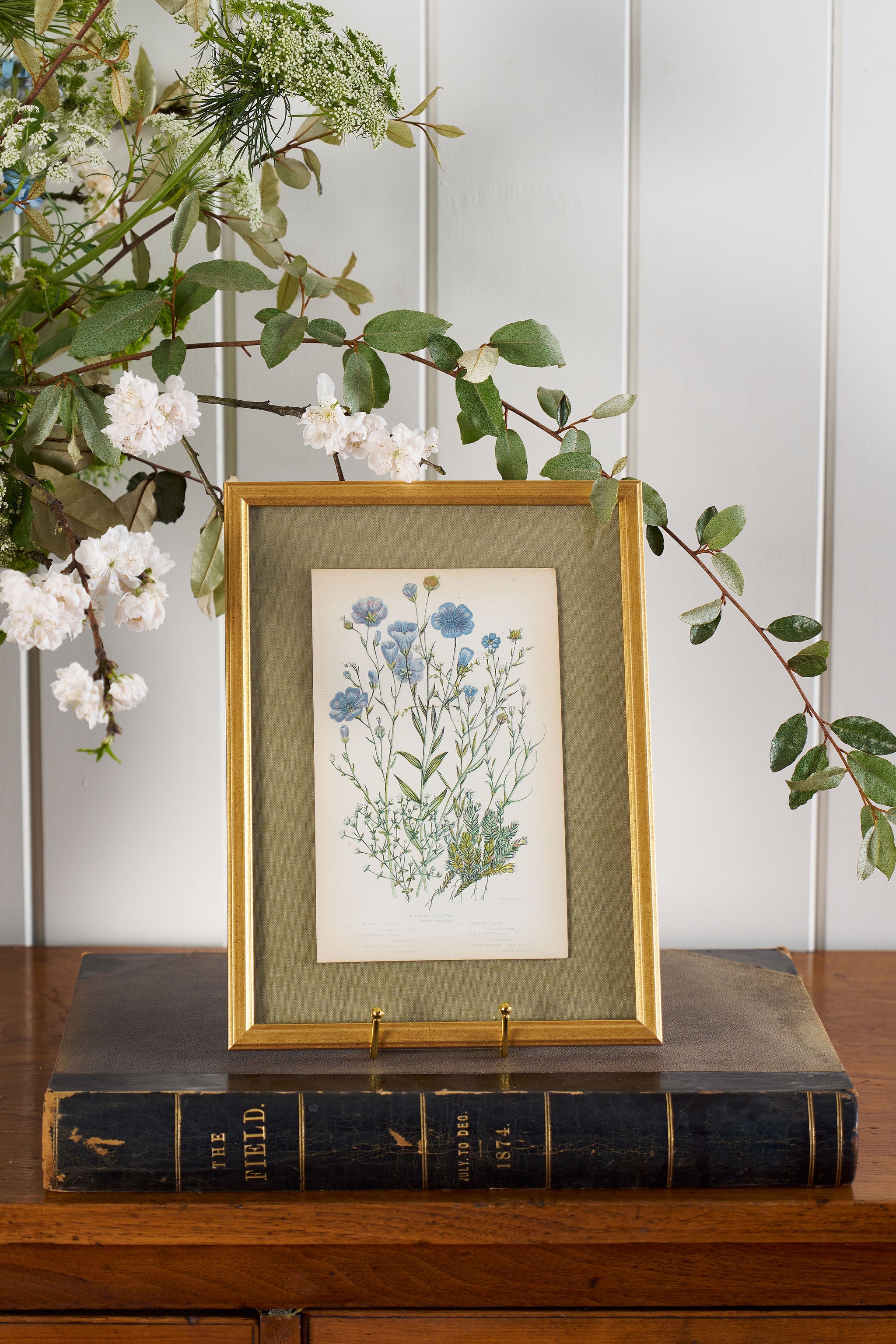 Antique Botanical Engraving (c. 1870) | Floating on Sage Linen in Contemporary Gold Frame