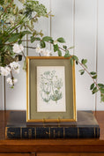 Load image into Gallery viewer, Antique Botanical Engraving (c. 1870) | Floating on Sage Linen in Contemporary Gold Frame
