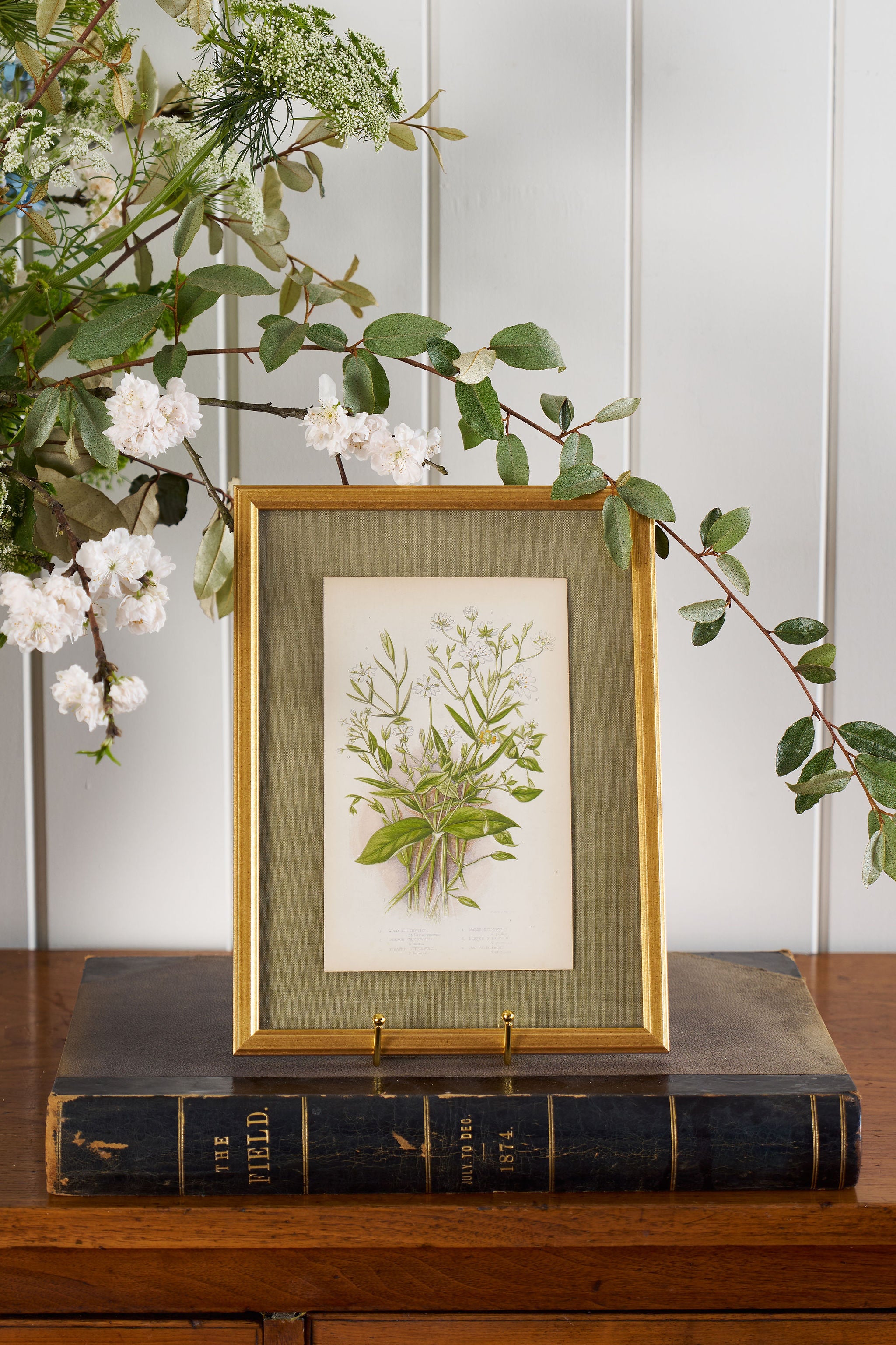 Antique Botanical Engraving (c. 1870) | Floating on Sage Linen in Contemporary Gold Frame