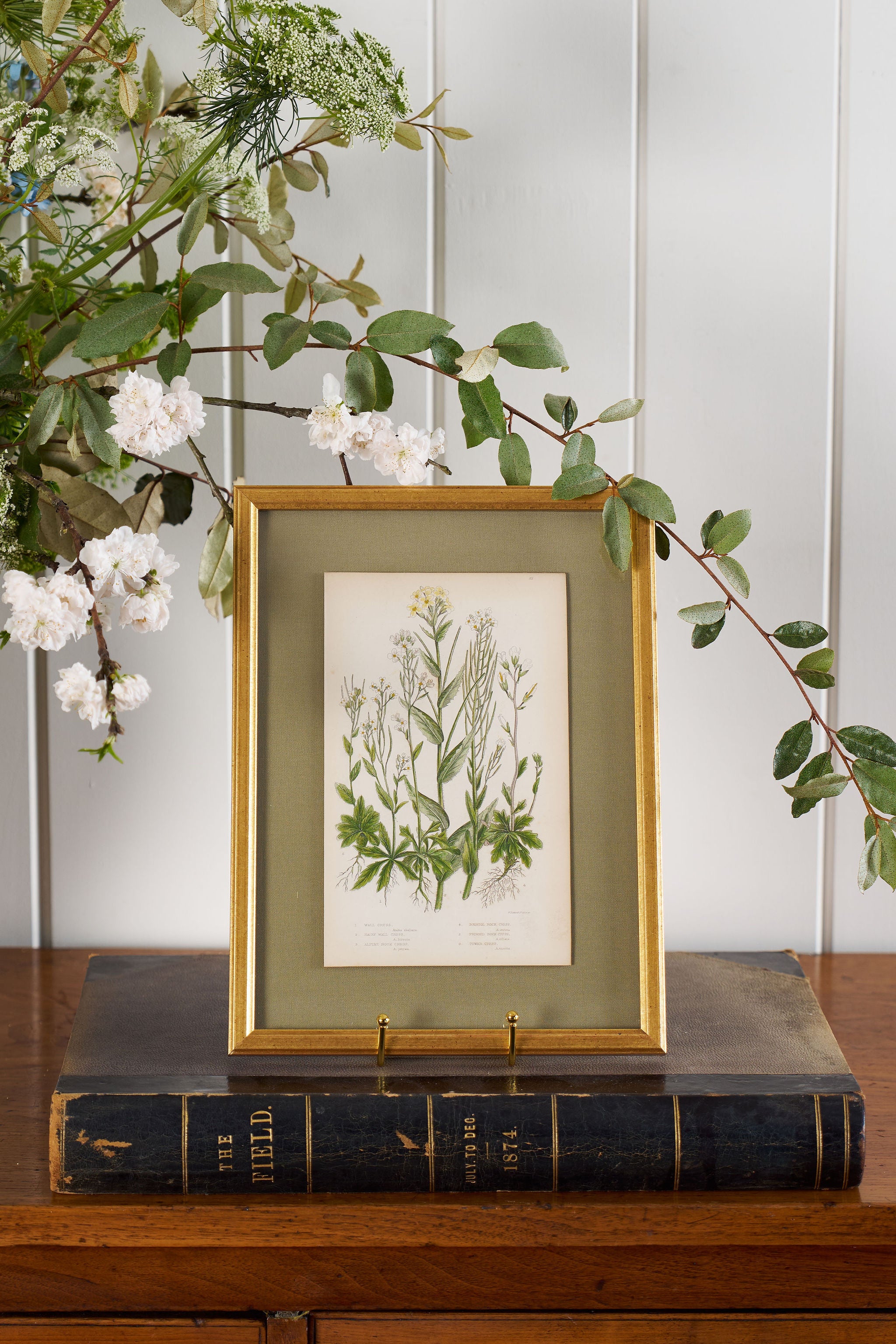 Antique Botanical Engraving (c. 1870) | Floating on Sage Linen in Contemporary Gold Frame