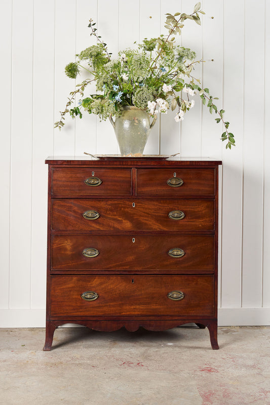 19th Century 2 Over 3 Mahogany Chest With Scalloped Apron and Bone Key Holes