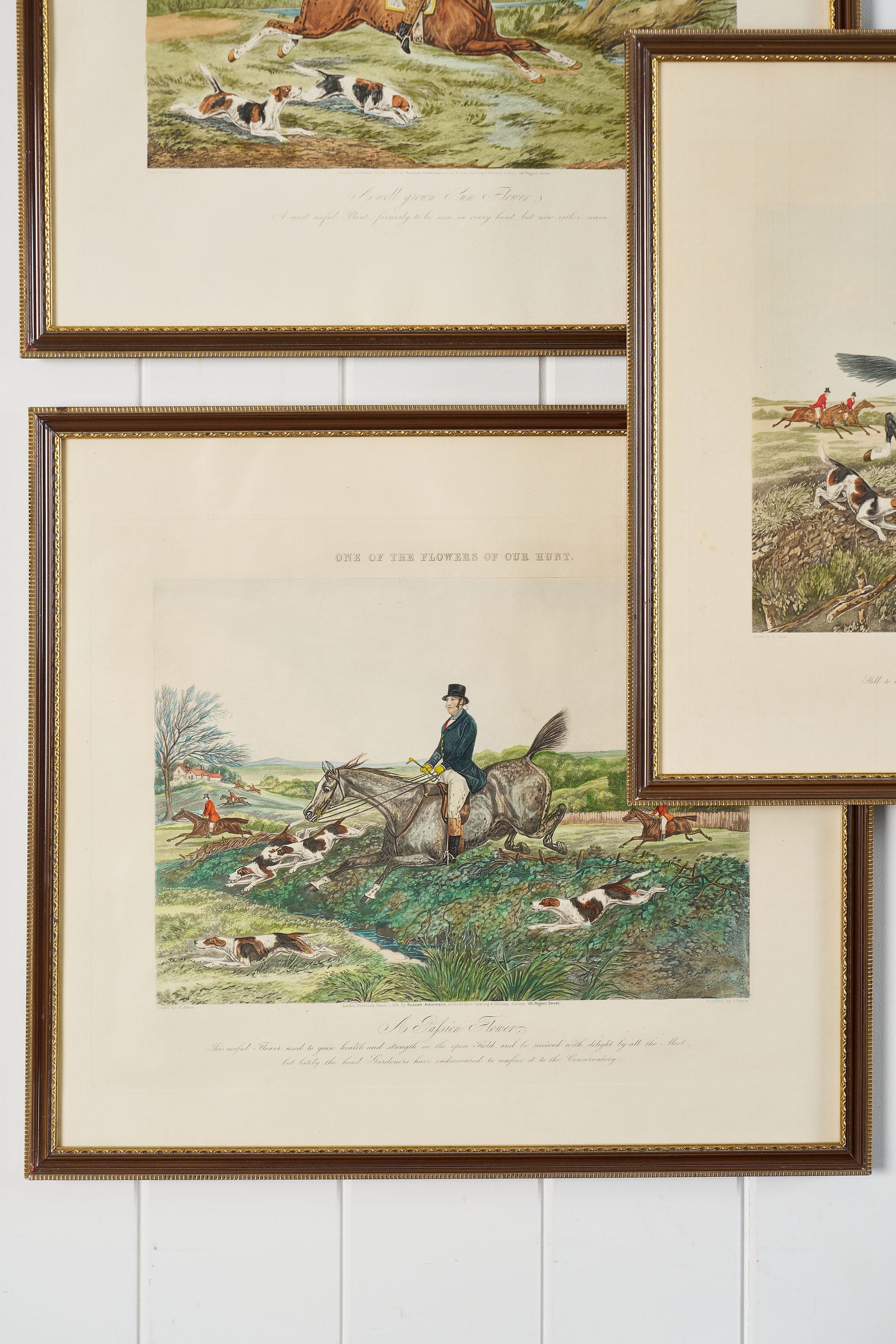 English Hunt Hand Colored Engraving | Published in 1851 as part of the ‘One of the Flowers of our Hunt’ Series