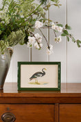 Load image into Gallery viewer, Antique Hand Colored Goose Engraving (c. 1865) | in Contemporary Green Lacquer Frame
